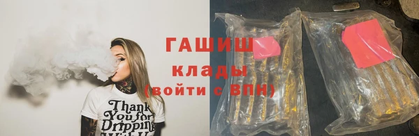 гидра Алексин