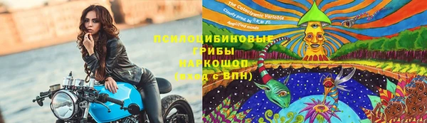 гидра Алексин