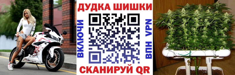 hydra Зверево Марихуана конопля как найти